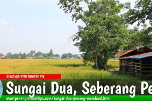 Petron Sg Dua Kg Teluk 3 Petron Sg Dua Kg Teluk