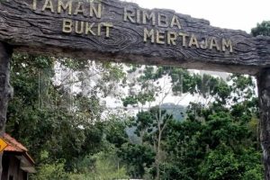 Petronas Cherok Tok Kun 4 Petronas Cherok Tok Kun