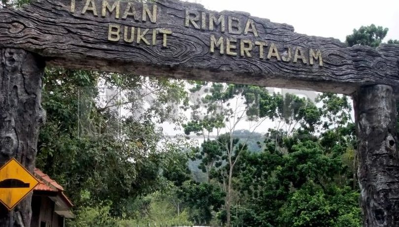 petronas cherok tok kun