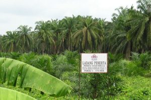 SMART Petrol Felcra Hulu Berang 5 SMART Petrol Felcra Hulu Berang