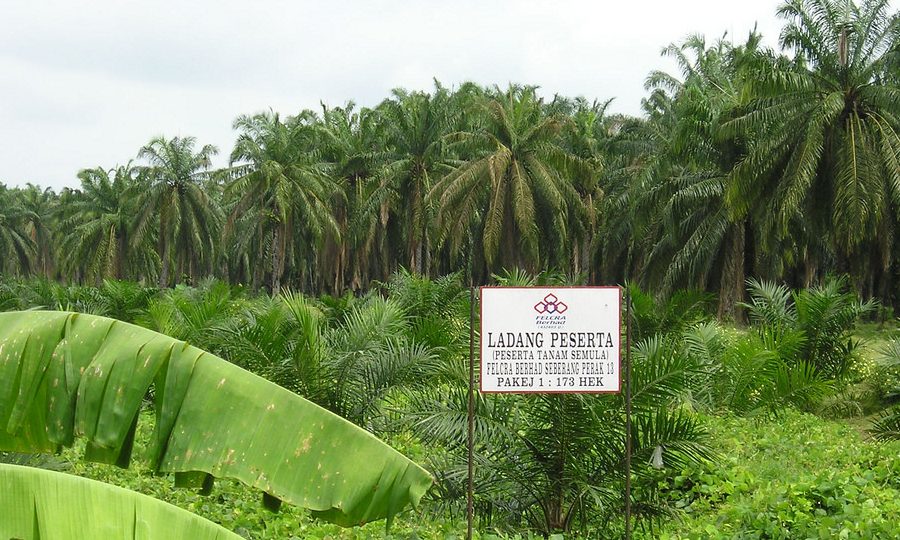 smart petrol felcra hulu berang